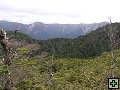 thn_NZ leden-unor 2006 162.jpg